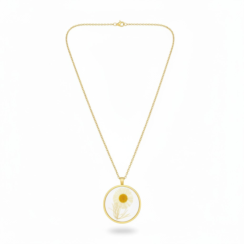 Gedroogde madelief gouden ketting 50cm