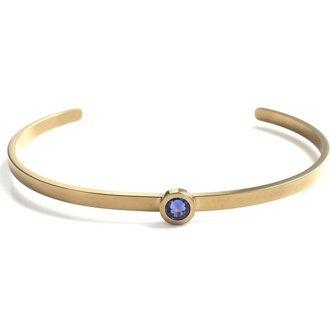 Gepersonaliseerde Geboortesteen Bangle Armband Dames Goud Roestvrij Staal