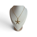 Statement ketting zeester goud – op halsbuste